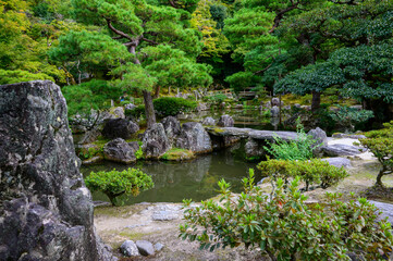 Japanese Garden in Fall 2024