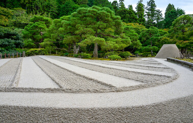Japanese Garden in Fall 2024