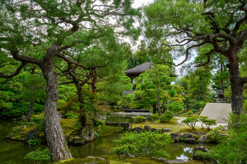 Japanese Garden in Fall 2024