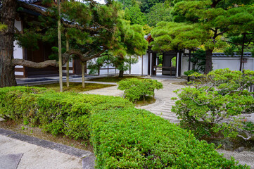 Japanese Garden in Fall 2024