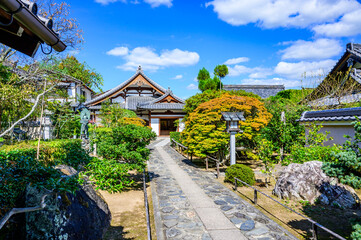 Japanese Garden in Fall 2024