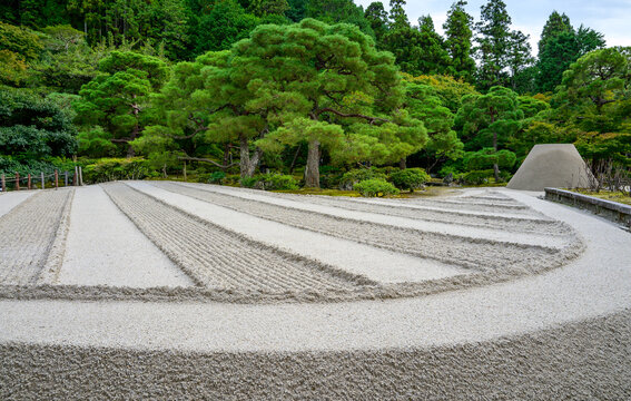 Japanese Garden in Fall 2024