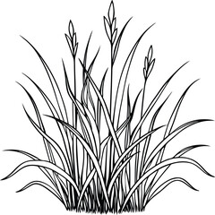 Single one line drawing grass concept. Continuous line draw design graphic vector transparent with PNG