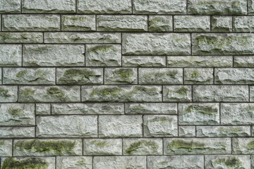 Texture of Grey Stone Wall with Moss Highlights in Natural Light, Showcasing Unique Patterns and Visual Interest in Architectural Design Elements
