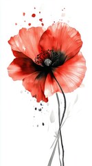 A bold red poppy flower with black center details, watercolor petals flowing outward