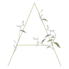 Capital letter A with floral  motifs. Botanical alphabet with herbs and wildflowers. Blooming branches of Polygonum plant. Knotweed or Smartweed flower.