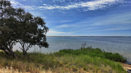 Serene view of a lake with greenery and blue skies in rural Australia