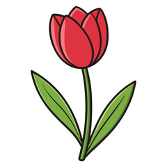 Beautiful tulip flower drawing art cartoon vector symbol design