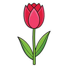 Beautiful tulip flower drawing art cartoon vector symbol design