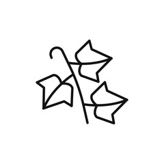 English ivy icon vector line logo art