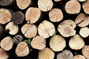 Close-Up View of Cut Logs Stacked Neatly, Displaying Natural Wood Textures and Patterns, Perfect for Backgrounds, Rustic Themes, or Environmental Projects