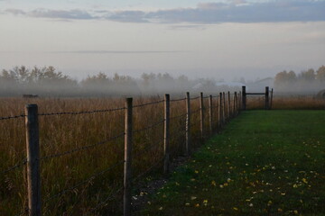 Obraz premium Foggy morning on the farm