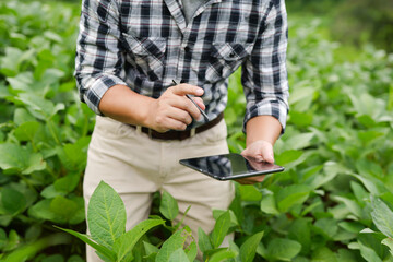 Hands of farmer, Agriculture technology farmer man using tablet Modern technology concept agriculture.