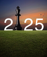 2025 white text with black chess king on green grass field over sunset sky with birds, Happy new...