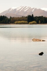 Mount Dobson Reflected in Lake Tekapo: Stunning New Zealand Landscape