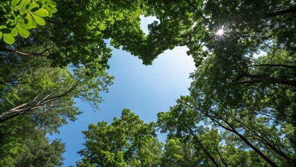 Fototapeta premium A forest canopy with a heart-shaped hole in the center, revealing a bright blue sky, open sky, blue sky