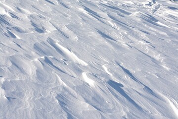 蔵王山のシュカブラ