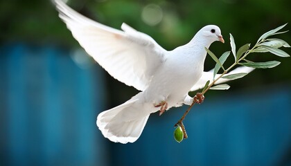 White dove with an olive branch, symbolizing peace