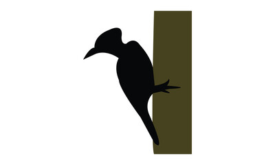 Woodpecker Silhouette And Vector Illustration. 