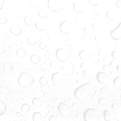 Water drops on white background. Water droplets on white background.