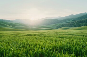 Obraz premium Serene green hills under a soft sunrise light.
