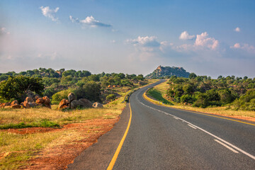 curved road in the nature, south africa landscape with rocky hill and bush trees