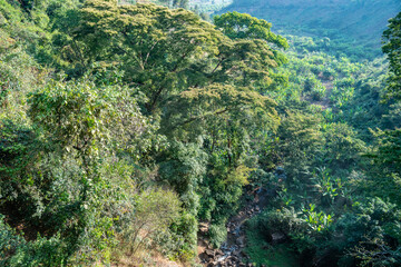 Nature of East Africa, Chutes de la Karera Falls, Burundi