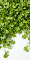 Obraz premium Top view of vibrant green arugula leaves, healthy, leaves