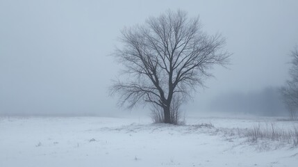 First Day of Winter, copy space