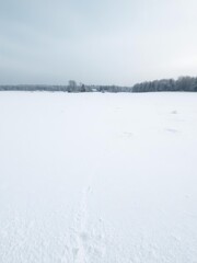 Winter landscape of a vast snowy field with untouched white snow, tranquil, snow