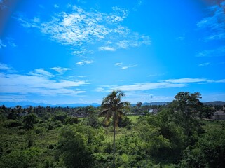 landscape with blue sky