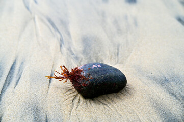 Unusual Things Found At the Beach