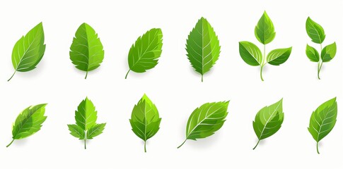 Green Leaf Icon Set: Eco, Natural, Organic, Vegan, Bio, Environment, Renewable, Plant, Nature, Collection