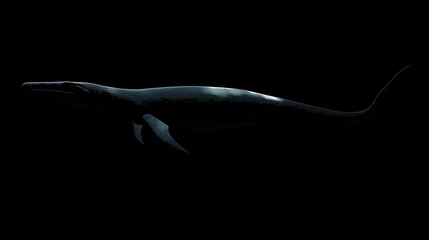 Obraz premium Silhouetted Plesiosaur Swimming in a Black Void