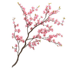 Fototapeta premium A beautiful branch of blooming pink flowers, symbolizing springtime and renewal. Perfect for nature-themed designs and floral arrangements.