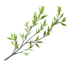 A close-up of a fresh green branch with vibrant leaves, perfect for representing nature, growth, and tranquility in various artistic designs.