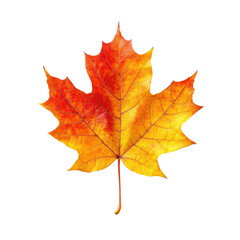 Obraz premium A vibrant autumn leaf displaying rich hues of orange and yellow, capturing the essence of the fall season in nature's beautiful transformation.