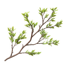 Obraz premium A vibrant branch with fresh green leaves, symbolizing growth and renewal, perfect for nature-themed projects, botanical illustrations, or eco-friendly designs.