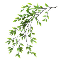 Obraz premium A vibrant green branch with lush leaves, perfect for adding a touch of nature to your designs. Ideal for nature-themed projects and eco-friendly concepts.