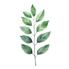 Naklejka premium A vibrant green leaf, elegantly detailed, showcasing the beauty of nature. Perfect for themes of growth, freshness, and environmental awareness.