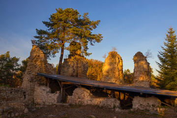 Fototapete bei efototapeten.de bestellen   