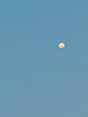 Moon in a blue sky 