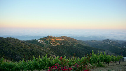 Malibu Hills mountain top wedding vistas