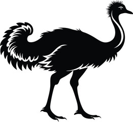 Obraz premium Ostriche bird Silhouette, Emu silhouette vector illustration