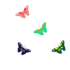 Butterflies isolated on white background