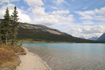 Path Along Bow Lake, Banff National Park, Alberta
