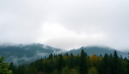 Fog over mountains with a beautiful forest