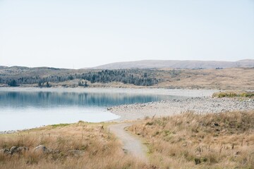 Grass-Covered Shoreline of Lake Pukaki in New Zealand