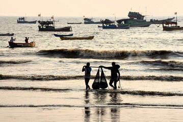Fishermen carrying fish from boat to Uttan Beach, Bhayander, Bombay, Mumbai, Maharashtra, India,...