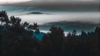 Fog over mountains with a beautiful forest